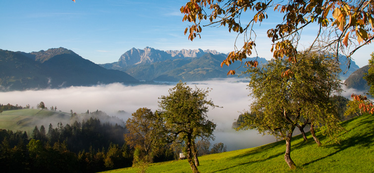 Wilder Kaiser viewed from Moserberg