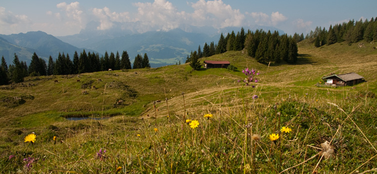 Almen im Hochgebirge