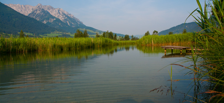 Walchsee